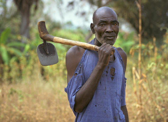 field-worker